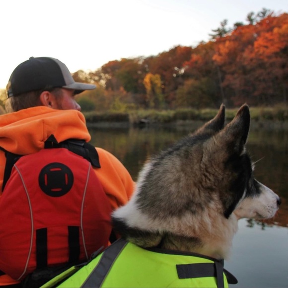 Meet your Posher, Sapph - Picture 1 of 1